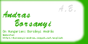andras borsanyi business card